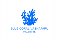 Blue Coral Vashafaru Maldives