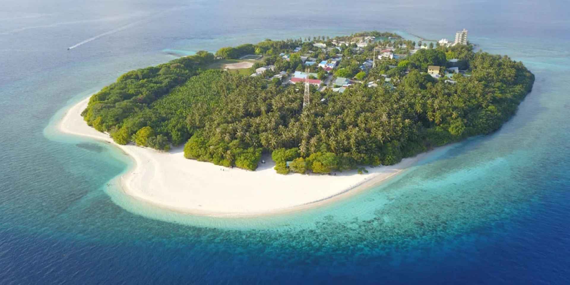 Hanifaru Beach Inn