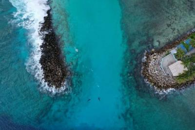 Tigershark Harbour