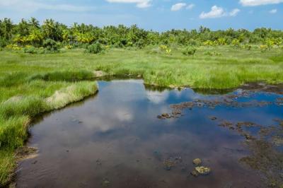 KODA KILHI (mud lake)