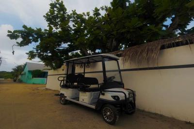Buggy service