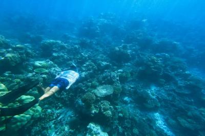 Snorkeling 

