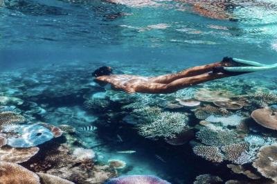 Snorkeling and seeing colorful fish.