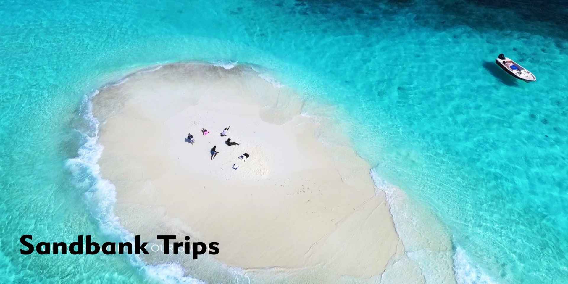 Sandbank along with snorkeling  trips