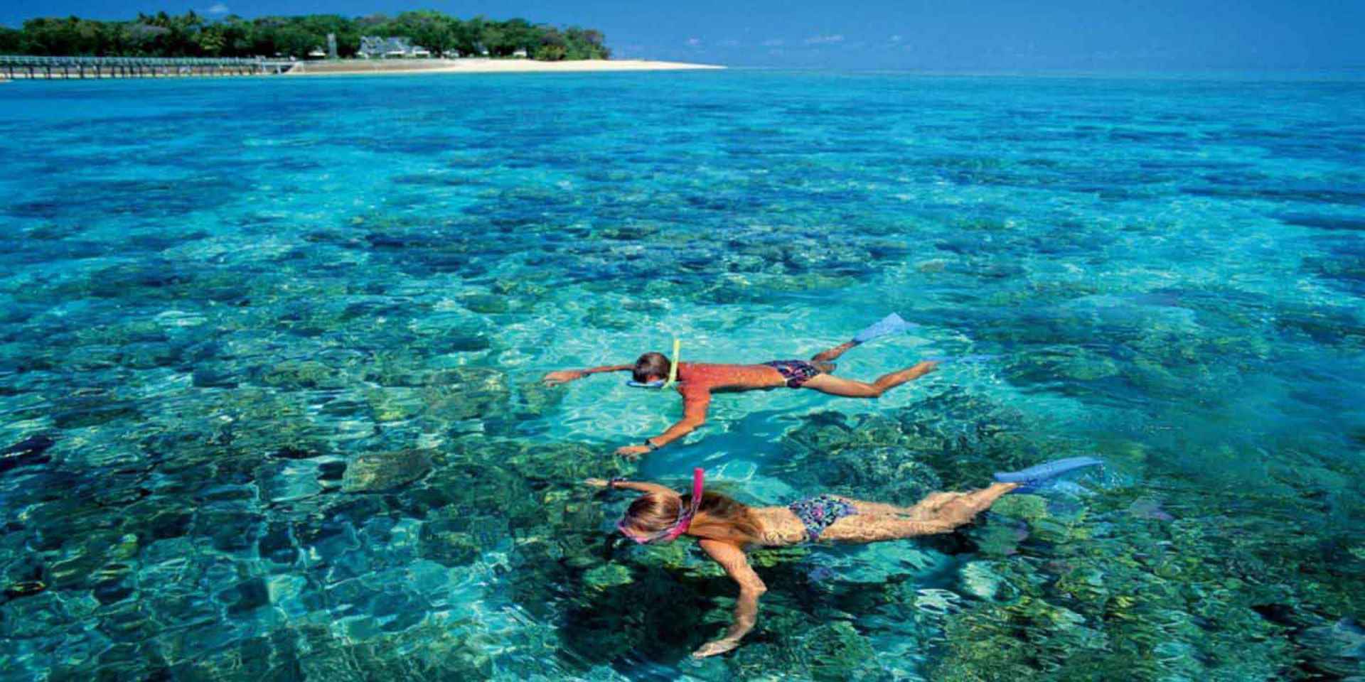 Private snorkeling trips