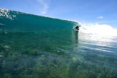 Surfing at coke's