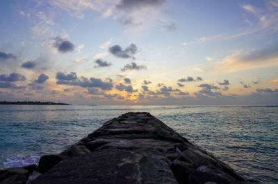 Jetty 