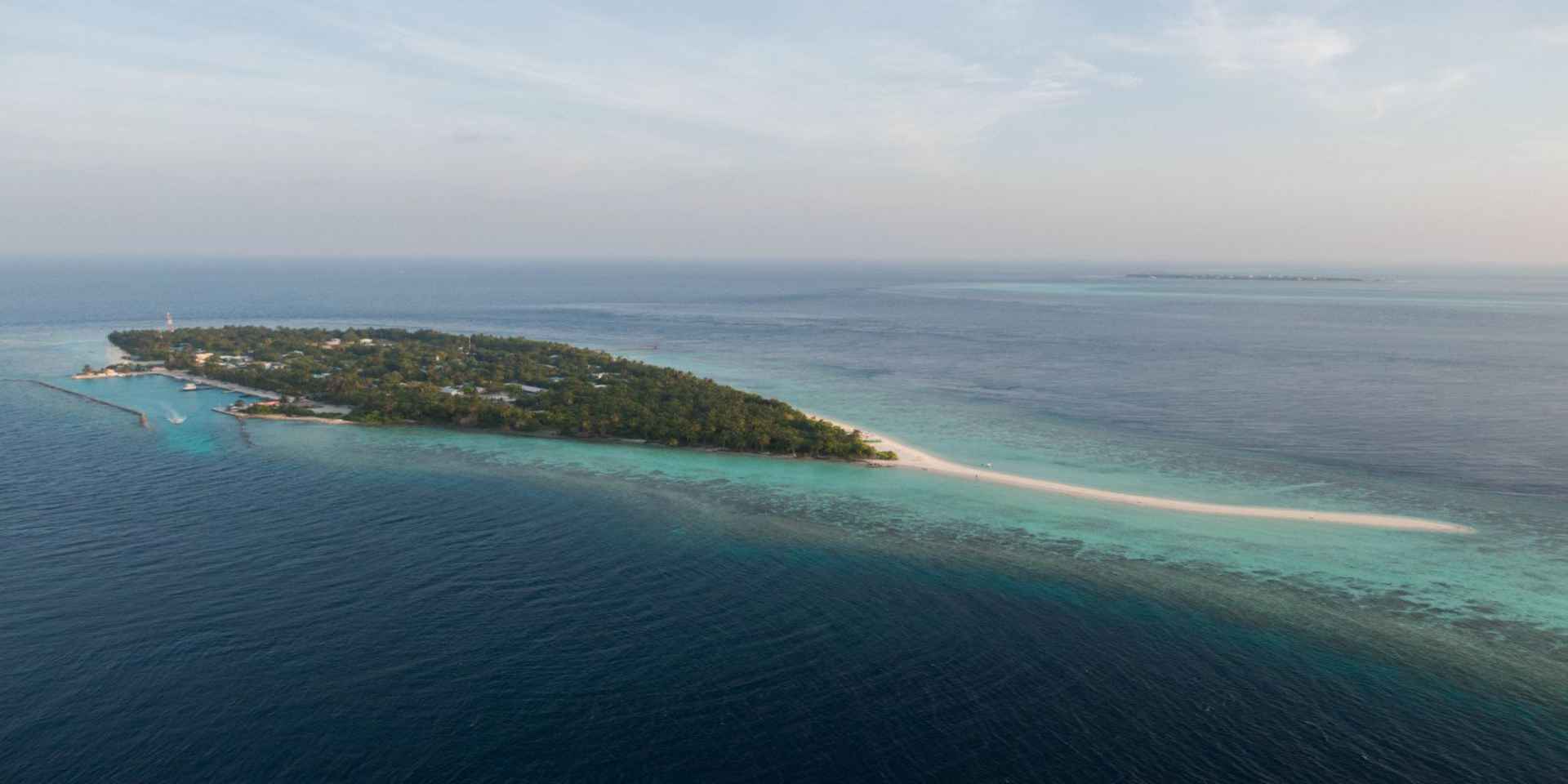 Turtle Maldives