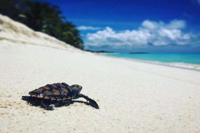 Surrounded by a vast turquoise lagoon