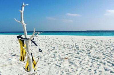 Sand Bank/Deserted Island Picnic